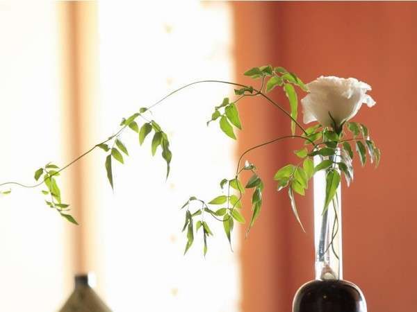 �����ف@�����������@�ʊف@�Ԍ��F���r�[���E���W