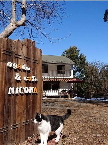 安曇野 猫 カフェ 100 で最高の画像