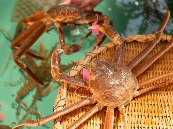 yxɑ@|C݁zVRƏ{̗\II