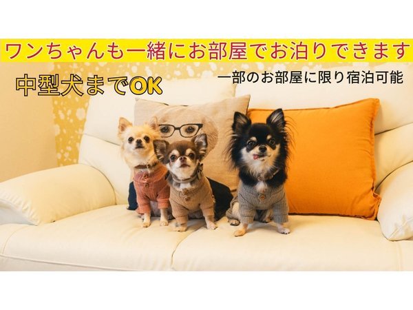 ���������̓���OK�@�������^�C�v�����肳��܂��̂ŁA�u�y�b�g�����v�����v��育�m�F�������B
