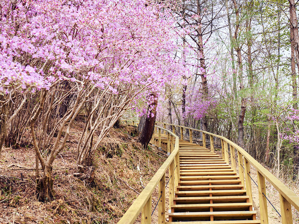 �f�q�`�w�@�o�q�d�l�h�t�l�@�b�`�l�o�q�d�r�n�q�s�@���s���k�@�F�yTEKUTEKU ROAD �n�C�L���O�z