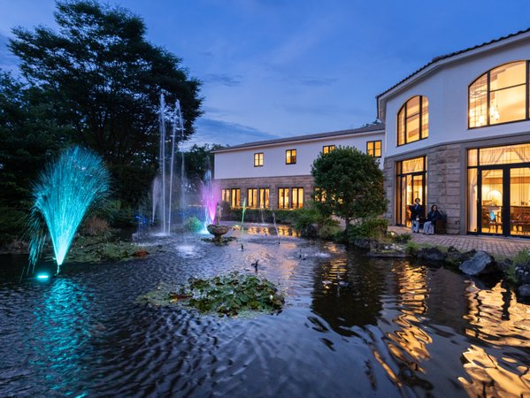 �ɓ���������z�e���@�X�̐�F���R�ɐG���