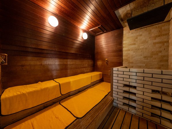 �ɓ���������z�e���@�X�̐�F�X�̐�Ő����u�T�E�i�v