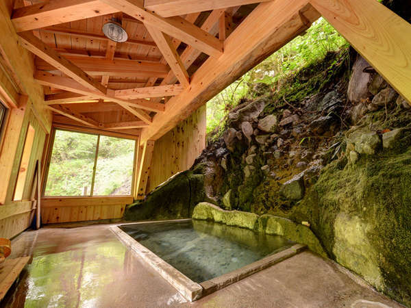 【中古】 温泉ぴあ花見温泉とにごり湯の宿 首都圏版 ２００５/ぴあ 自噴巌風呂の温泉宿 二岐温泉 柏屋旅館 - 宿泊予約は【じゃらんnet】