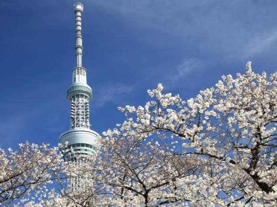 ｉｈｅｙａｓ ｈｏｔｅｌ ｓｋｙｔｒｅｅ 宿泊予約は じゃらんnet