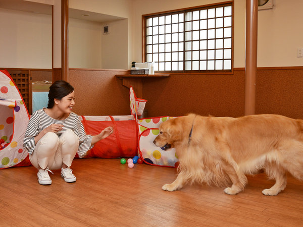 じゃらん 安い ペット と 泊まれる 宿