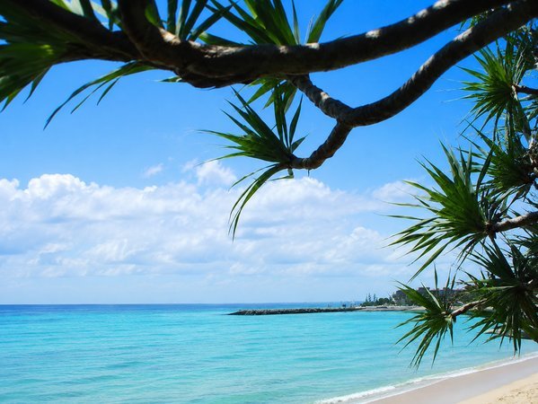 PRIME TREE Izumizaki CONDO HOTEL�i���F�R�n���z�e���j�F�ߔe�s�y I z u m i z a k i �z�����_�ɖk�֓��(������)