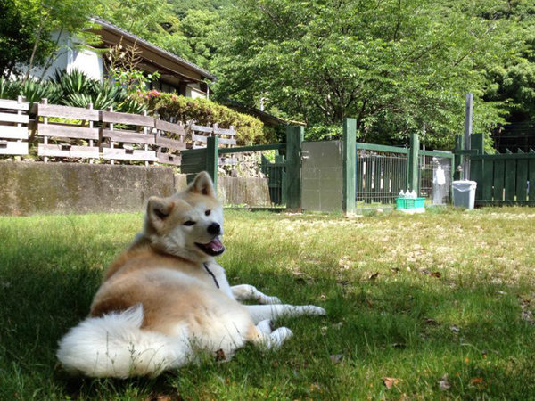南阿波サンラインモビレージ 宿泊予約は じゃらんnet