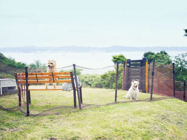 �O�����h�����L���[����[�����]�[�g���X�p�F��񂿂�񃋁[������̃h�b�O����