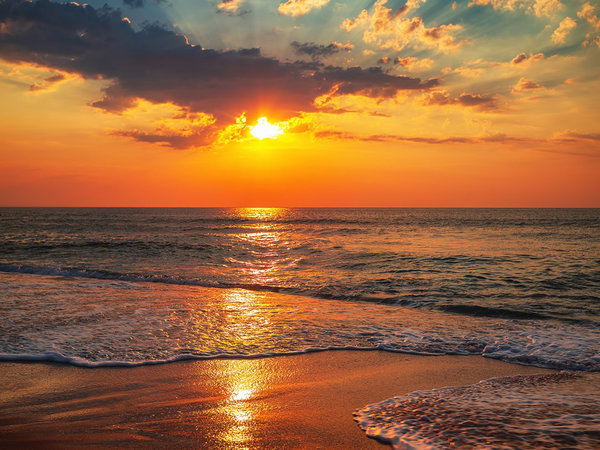 �O�����h�����L���[����[�����]�[�g���X�p�F�G�߂��y����