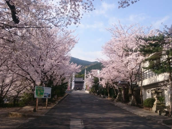 石鎚神社会館 宿泊予約は じゃらんnet