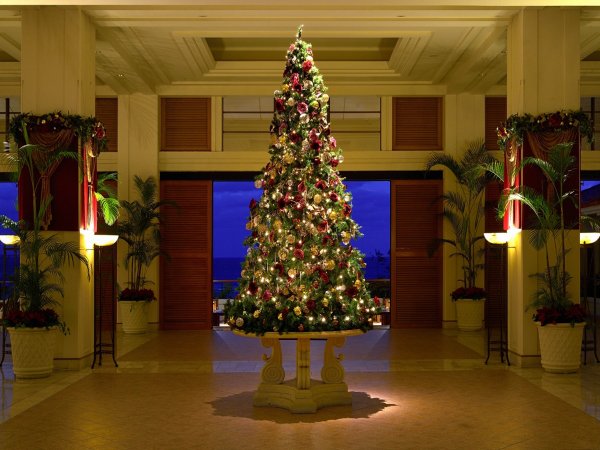 yԌE11/17`zNX}XC~l[ViC[Wj