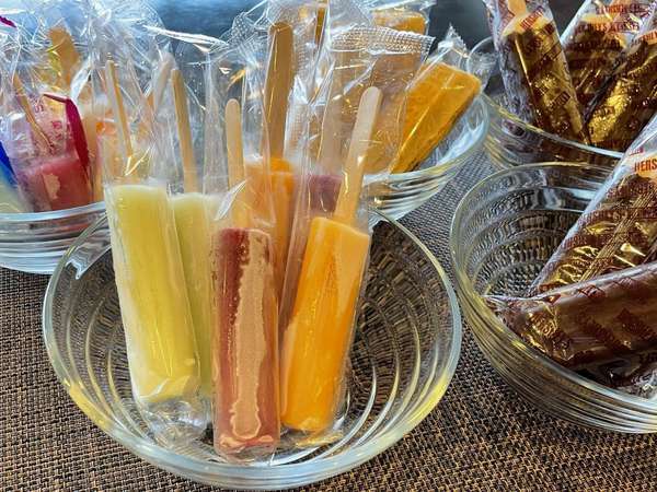 ���ʉ���@���܂��̓��@�h�[�~�[�C���H�c�F�������A�C�X�T�[�r�X