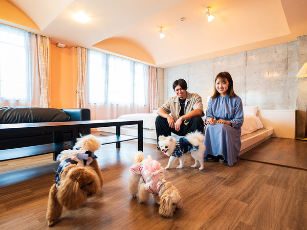 �y�ŏ�K�I�[�V�����r���[�f���b�N�X�z��񂿂������S�̍L�X�q��