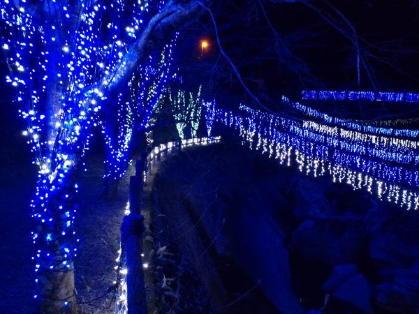 yÌkJ̐XzÌkJ͎l\kJŐlC̐mu[X|bg