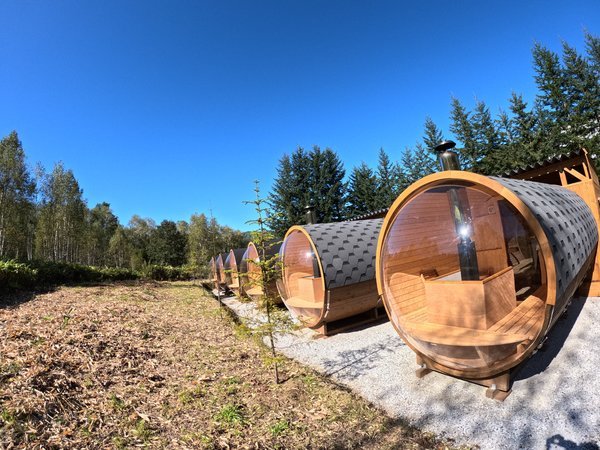 �v�`�z�e���@�O���[�V�B�E�g�}���̊O�ώʐ^