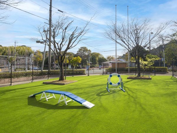 dog park（人工芝のドッグラン）