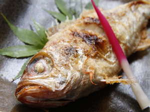 【カニ元浜坂　海幸の宿　浜石】常連客が多いとうわさの海幸料理を堪能できる宿