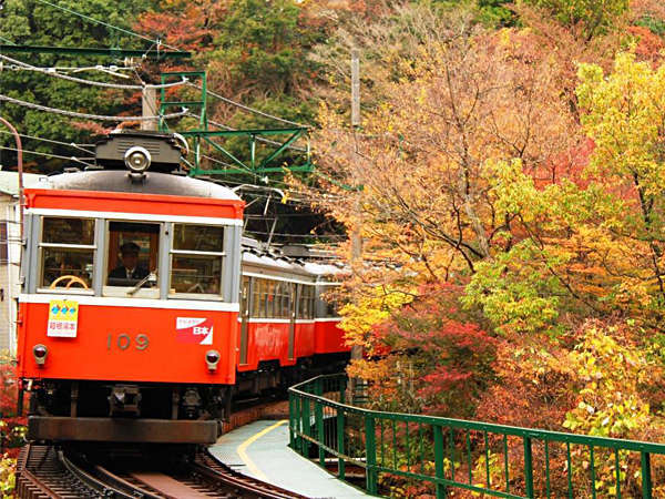 ままね湯 ますとみ旅館 宿泊予約は じゃらんnet