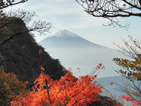 ままね湯 ますとみ旅館 宿泊予約は じゃらんnet