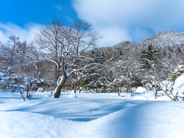 ����R�k����@�����䉑�F���~�̒뉀�E�r��