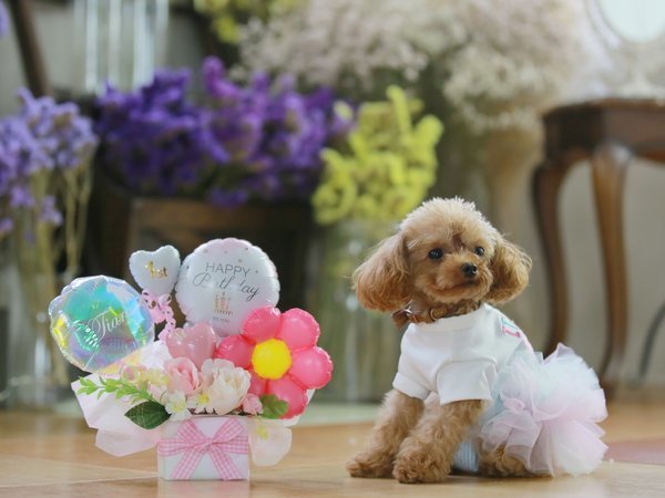 A.Letter ～Photo Studio & Atelier Hotel～ - 宿泊予約は＜じゃらんnet＞