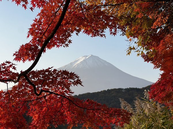 yxm͌Ή@xmŘ鉷򗷊ف@rzez͌NO.1LbY[EݐؘIVCE[Hv