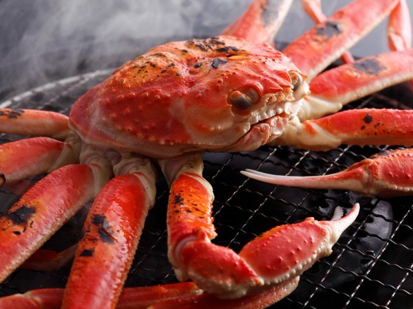 y-{-@CNTChՈ@Yc̏hzڗ̃vII{Ɏ|I[iŖޓVȐh