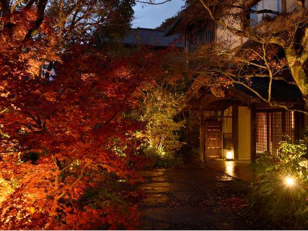 湯の花温泉の温泉旅館 ホテル一覧 じゃらんnet