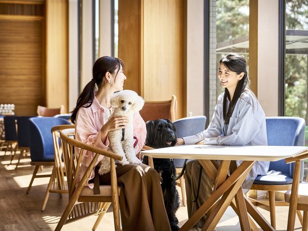 Doggy�fs Coast Oarai