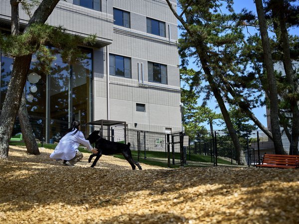 Doggy�fs Coast Oarai�F�]�h�b�O�����i���O�E�����j�]