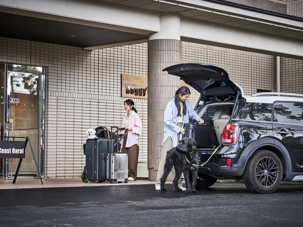 Doggy�fs Coast Oarai�F�]���ԏ�̂��ē��]