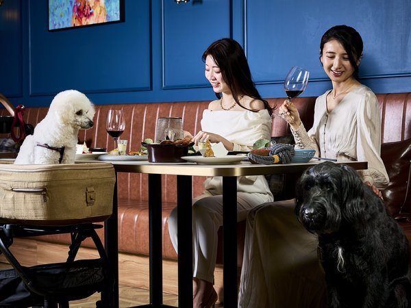 Doggy�fs Coast Oarai�F02�]Let us hang out.