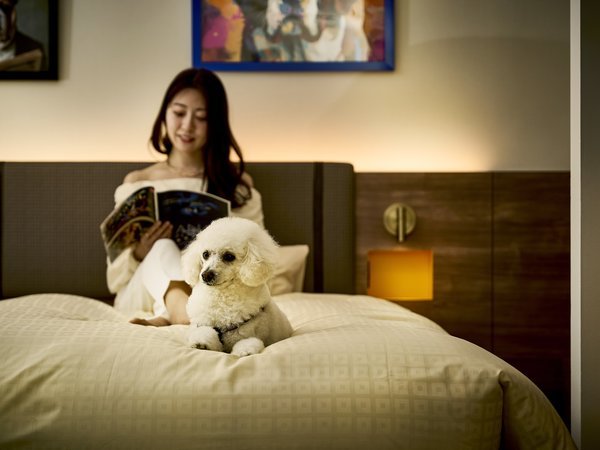 Doggy�fs Coast Oarai�F03�]Let us be chill.