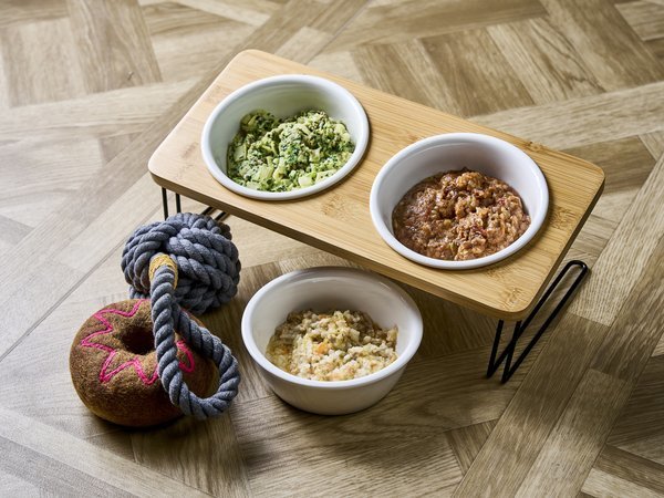 Doggy�fs Coast Oarai�F�]���������̂��H�����j���[�]