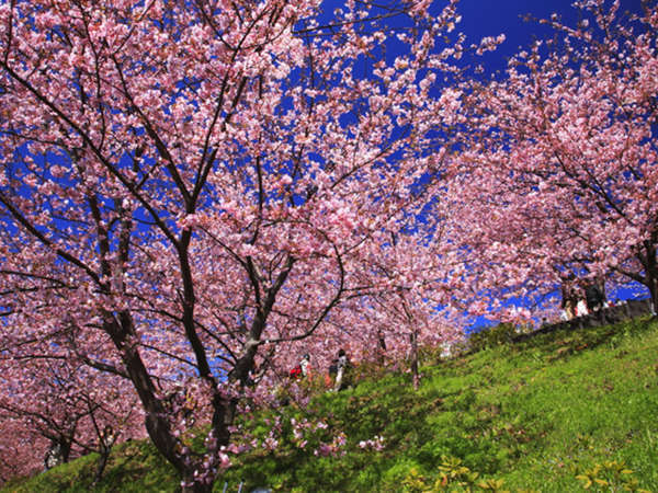 石花海 別邸 海うさぎ - 宿泊予約は＜じゃらんnet＞