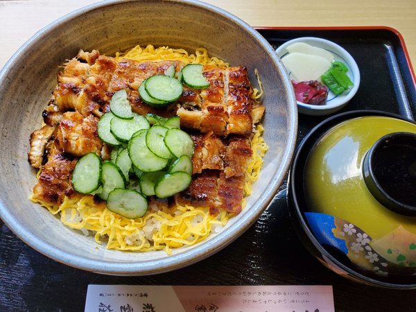 �����̏h�@�P�_���F�Ă����q��