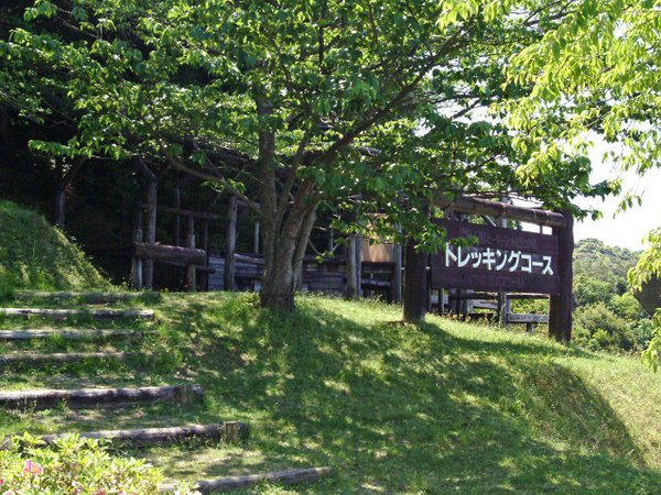 �y�g���b�L���O�R�[�X�����N���G�[�V�������z���̂�������Ɏ����X������G�߂̉Ԃ𒭂߂���