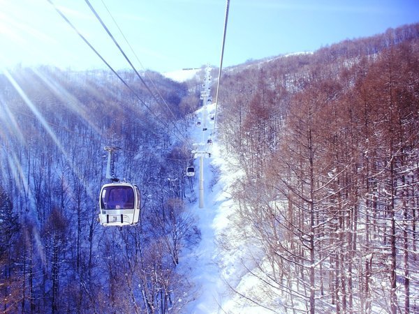 ynShwk2̏h@ف@[znShtgk5ȓIԏhҖ