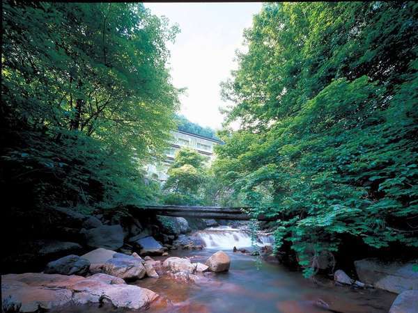 黄金色の巨石露天風呂 横谷温泉旅館 宿泊予約は じゃらんnet