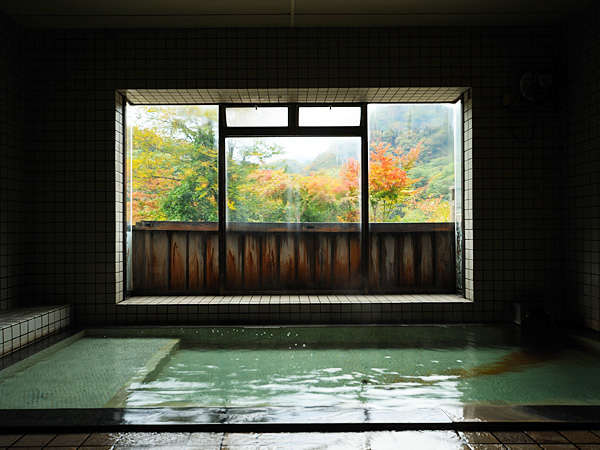 y嗁ul̓vzR{̌̒ł֐ߒɂɌʂƍD]łB