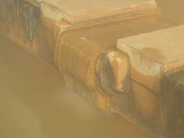 �嗁��̓����@���򂻂̂܂܂Ȃ̂ŕ����ʂ艩���F�ł�