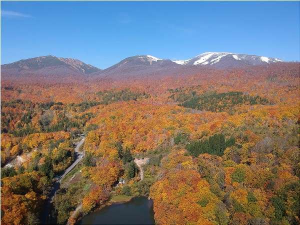 yȐh@zRR[̎RElGLȉh