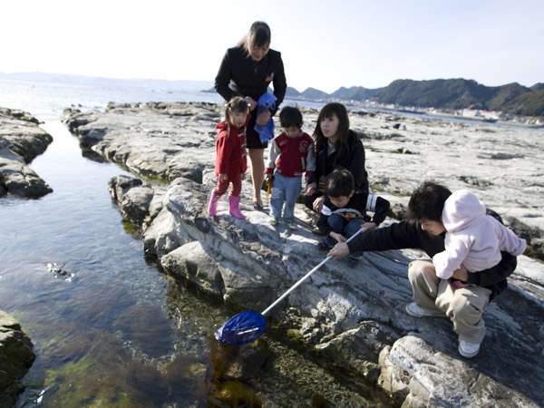 Urplais ホテル 旅館 宿泊施設の検索 蟹やヤドカリ 小魚などが ホテル前では磯遊びが楽しめます 小湊実入温泉 ホテルグリーンプラザ鴨川