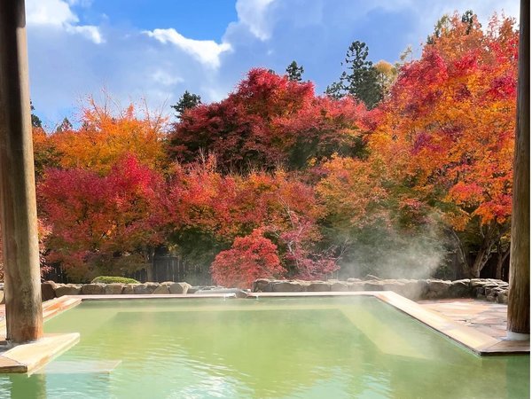 �I�V���C����]�ލg�t