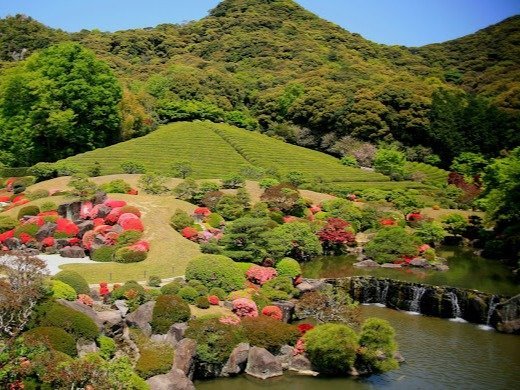 �y���Y�Z���`�����[�z�e���z�y2025�N3���z���j���[�A���I�[�v���I