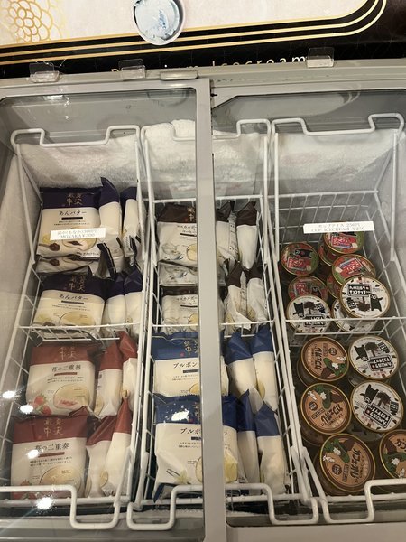 �R�[�g�z�e�����ˁF