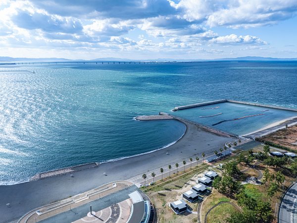 うみうみ様確認用 日本の海、砂浜なくなりすぎ！ 年間300頭から1頭まで激減している