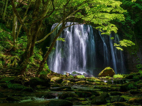 �y���c��ό��z�e���z�֒򍂌��ɘȂރX�|�[�c�E���W���[�{�ݏ[���̃z�e���B