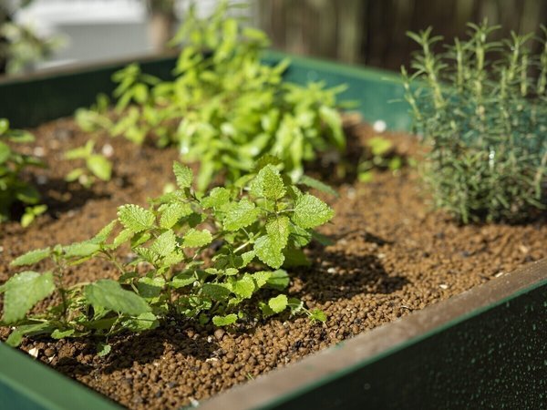 KOKO HOTEL �����w�O�i�� �z�e���E�B���O�Z���N�g�����w�O�j�F